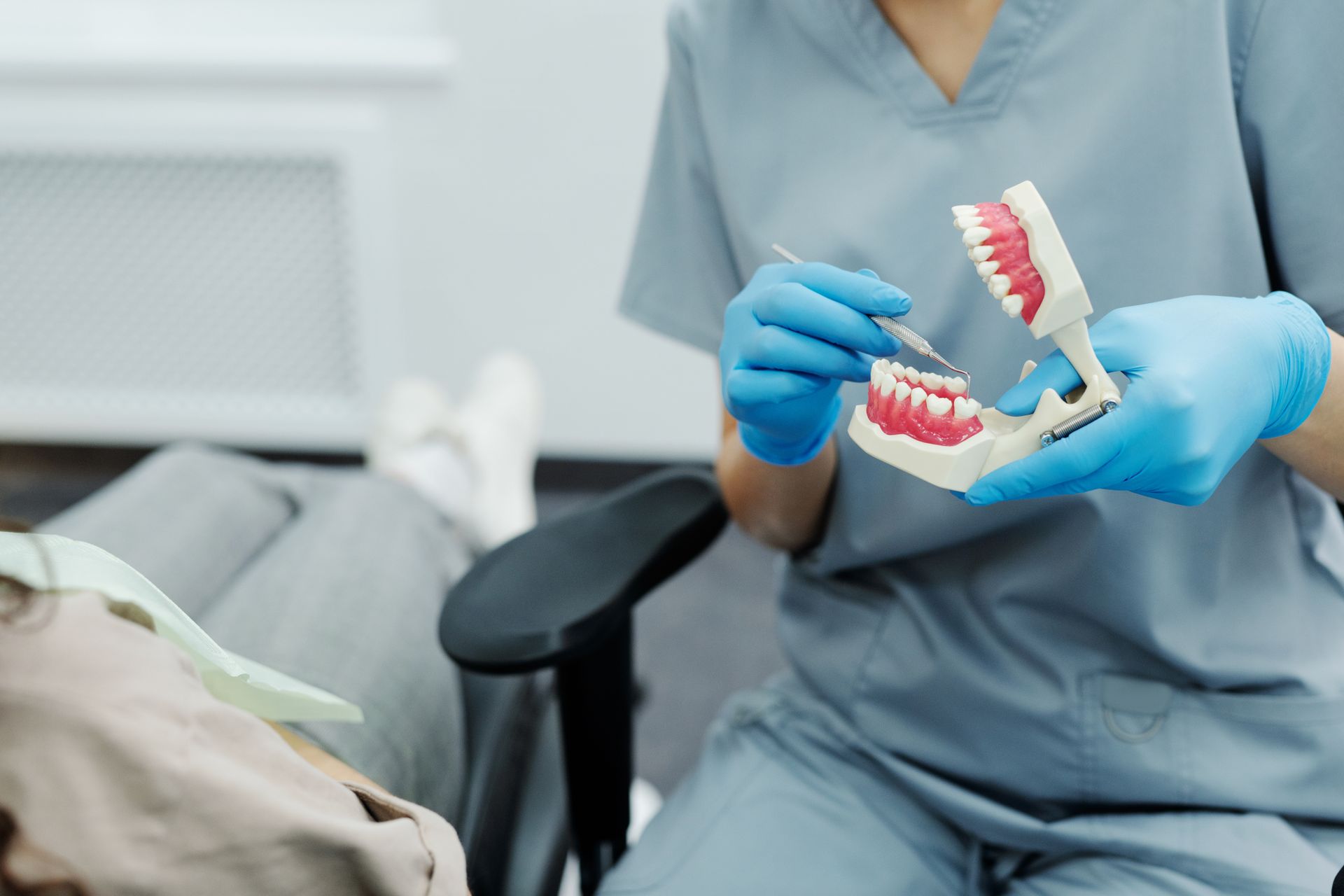 Dentist demonstrating tooth anatomy on a dental model